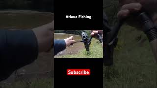 Atlaua Fishing 🅰️🎣