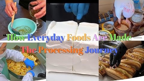 “How Everyday Foods Are Made — The Processing Journey!”