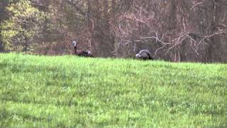 Chris Parrish On Calling Too Much