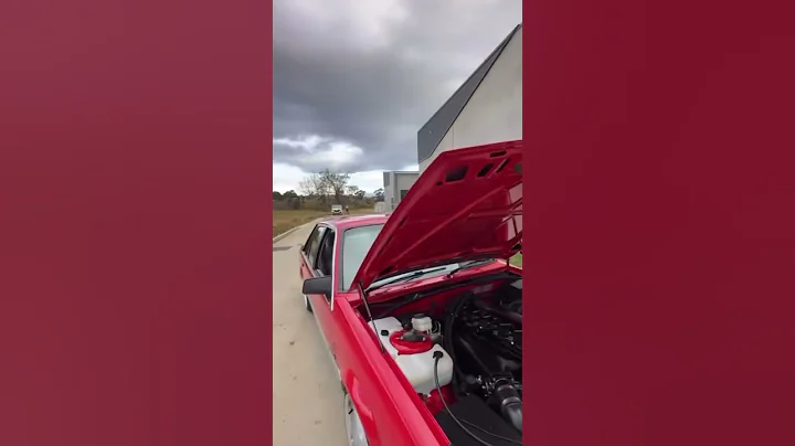 Angry Calais Turbo 🥵 #holden #vl #rb30 #vlturbo #calais #holdencommodore #turbo #cammed
