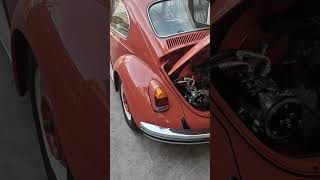 รถเต่า (อาบน้ำแต่งตัวใหม่) สวยขึ้นไหม #ptestcar #volkswagen #vw #review #restore