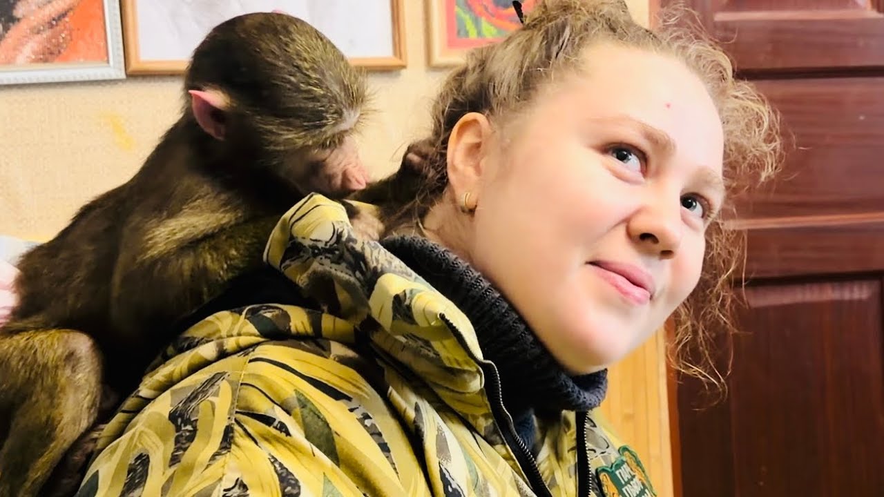 Анфиска сегодня решила ДОСТАТЬ даже Алину😁