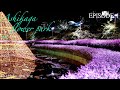 Japan Christmas Lights of Ashikaga Flower Park【EPISODE 1】| 4K Japan Walk | #explorejapan #japan #4k