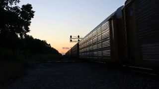 A pair of NS C40-9W's hit the diamond in Romulus while heading west w/ NS Manifest 289