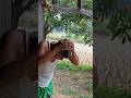 বালটির ভিতরে কি দিল #shorts #short #video