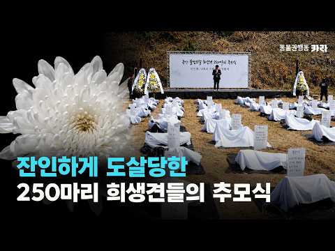 Memorial service for 250 brutally slaughtered sacrificial dogs