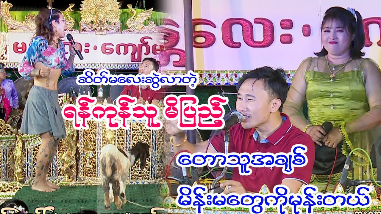 တောသူအချစ်ဆိုတီးနေချိန် ဆိတ်မလေးဆွဲဝင်လာတဲ့ရန်ကုန်သူမိပြည့်ကို ကိုမြတ်စိုးကမုန်းတယ် တဲ့