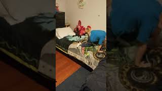 I Am Jump Ing On My Bed