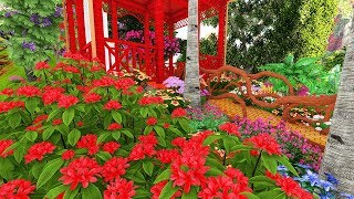 4K- Most beautiful flower scenery by Beautiful 4K And HDR Videos 46,584 views 4 years ago 7 minutes, 9 seconds