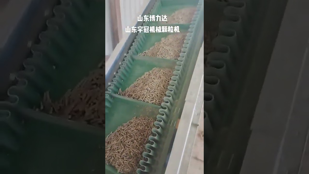 Bolida&Rotex Pellet machine pelleting section and counter flow cooler cooling section. 