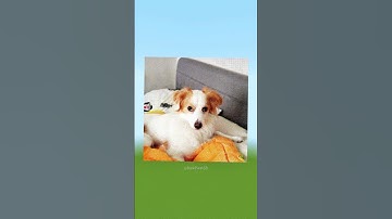 Building My Subscribers’ Coolest Profile Pics in Minecraft Pixel Art 🎨🔥