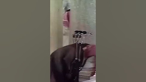 تلاوة قديمة للشيخ سعود الشريم