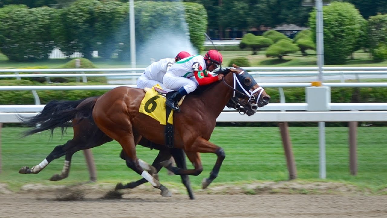 Expert Webinar: My 6 simple steps to creating iSpring demos