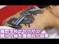 【驚愕】専門学校でヤクザの親分の娘を面倒みた結果、、、