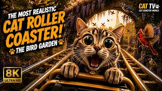 Roller Coaster For Cats 😹: THE BIRD GARDEN 🐦 (4K) Cat Roller Coaster 🎢