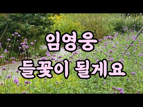 #임영웅들꽃이될게요 #아임히어로2신곡 #Wildflower