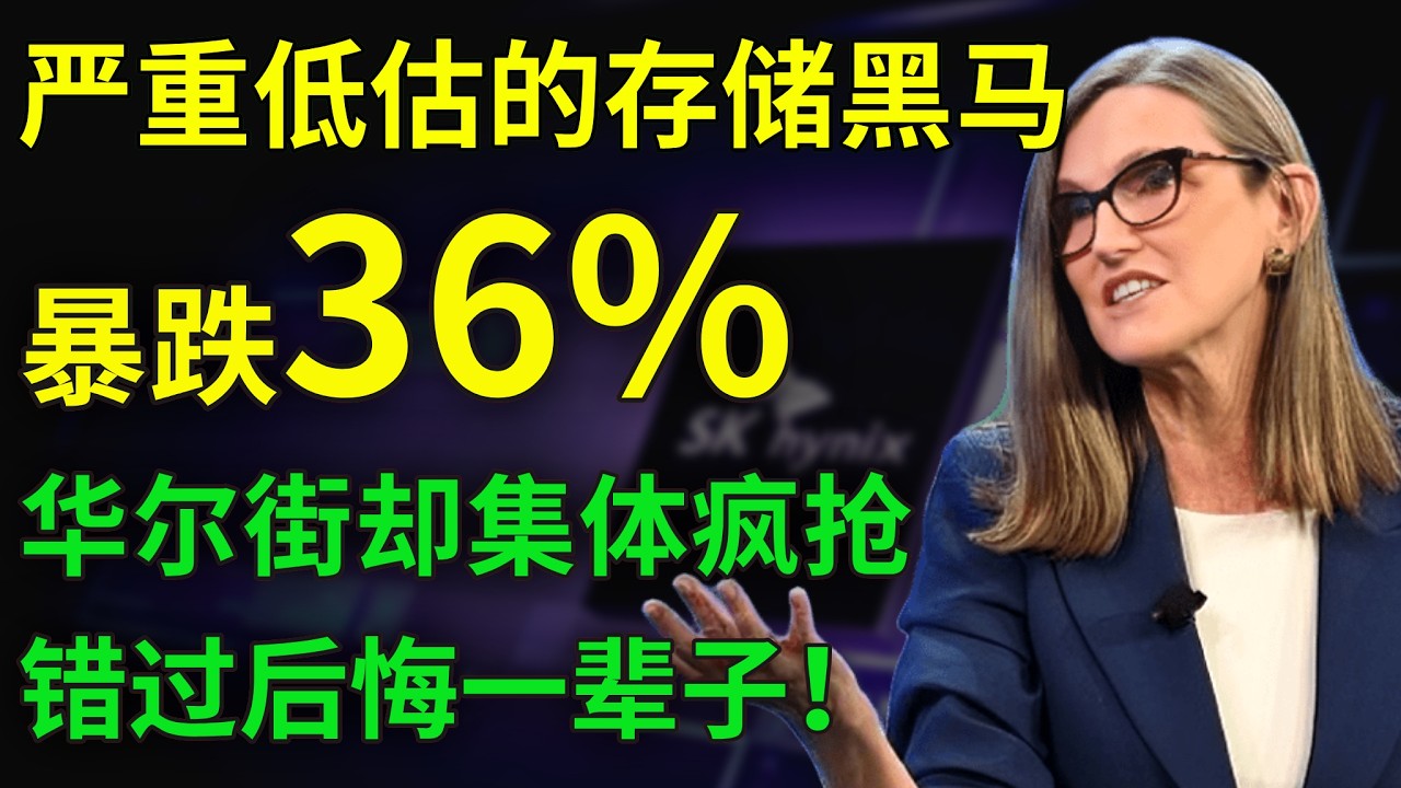 被严重低估的存储独角兽！2027史上最缺芯片时代，市场却只给9.7倍估值，财报炸裂却股价大跌，持有者该怎么办？必看！#skhy  ｜#闪迪 ，NVDA，TSLA，AAOI，MRNA，MU，#spcx