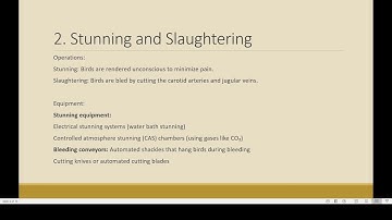 Poultry meat processing