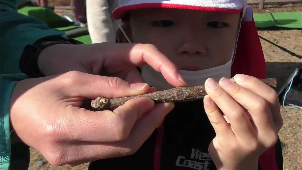 木育の取り組み 中津川市立付知南小学校1年生 講師：小島未来さん YouTube