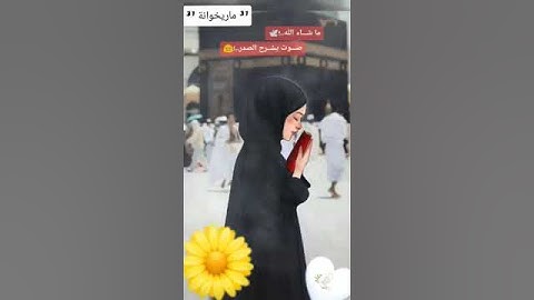 سورة القلم بصوت رائع مقطع صغير