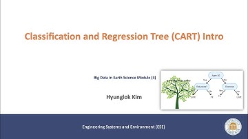 UVA CE6000 (Big Data in Earth Science Module): Classification and Regression Tree (CART) Intro