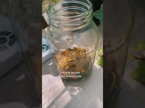Video: Ist Calendula ein ätherisches Öl?