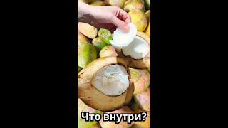 Что внутри кокосов ?🇮🇳🥥🥥🥥🥥🥥🥥🥥