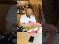 Полынь польза или вред для здоровья 