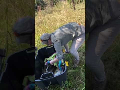 Southern African Python Release