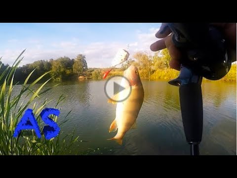 DIY Popper: Very Easy Workshop Tackle Lures