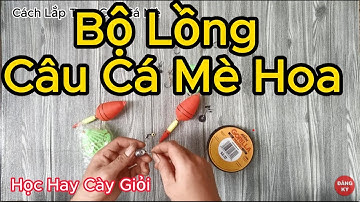 Cách Lắp Bộ Lồng Câu Cá Mè Chuẩn Cho Người Mới Bắt Đầu