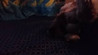Ruby Crying Grass Hop