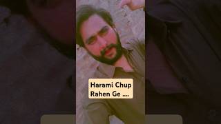 Harami Chup Rahen Ge
