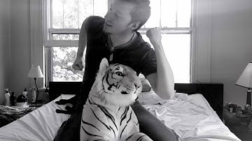 Reverse Time Lapse Video - How To Kill Time (Sit and Wait Music Video)