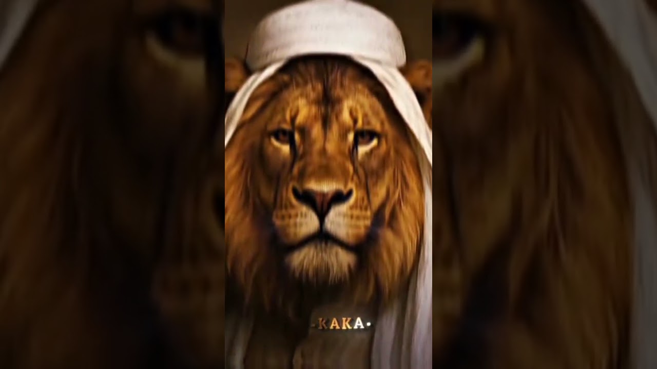 𝙡𝙞𝙤𝙣 𝙞𝙨 𝙢𝙪𝙨𝙡𝙞𝙢 #