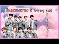 K-pop/Stray Kids/ биография