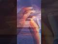 очень счастлив(а)? #shorts #love #feelings