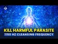 Eliminate Harmful Parasite: 1150 Hz Parasite Cleansing Frequency
