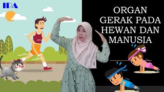 Organ Gerak Manusia dan Hewan | Kelas 5 SD |Tema 1| Semester 1