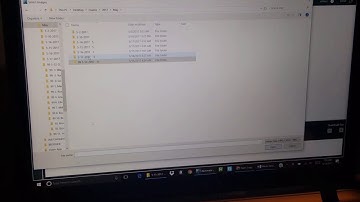 Photo loading and labelling