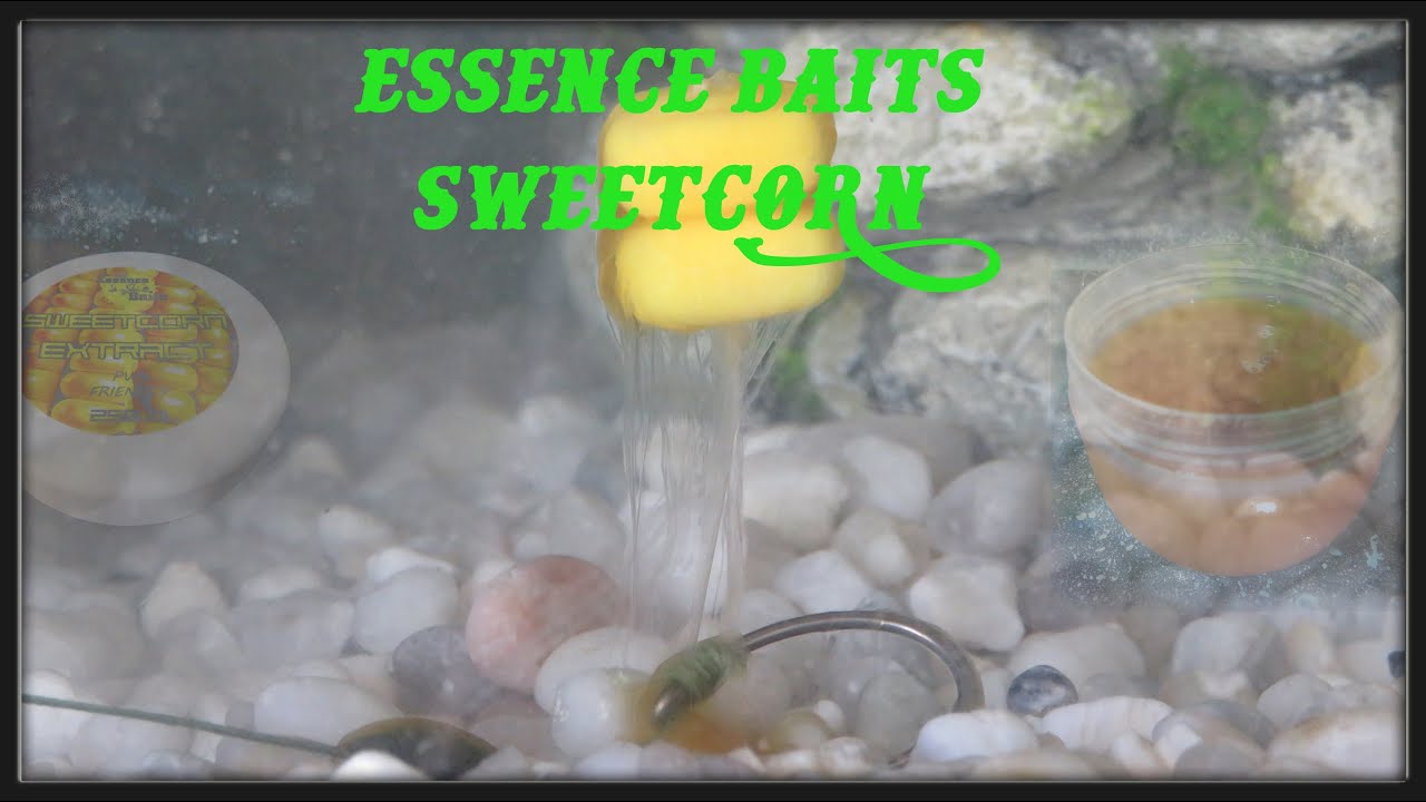 NUOVO PRODOTTO CARPFISHING: ESSENCE BAIT SWEETCORN 🌽