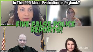 Five False Police Reports! – Is This PPO About Protection or Payback