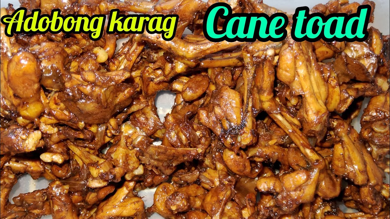 adobong karag/Cane toad/ poisonous frog  | simpleng Buhay sa probinsya |