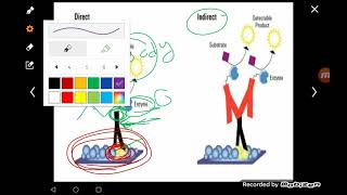Cell Biology Lab 9 (Immunohistochemistry technique)