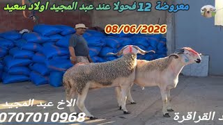 اليوم من ضيعة عبد المجيد اولاد سعيد كين 12 فحولا ماشاء الله 🎥 08/06/26