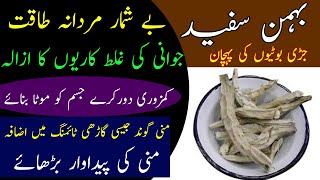 Behman Sufaid Ke Fayde Behman Ke Fawaid Health Benefits Of White Behman بہمن سفید کے فائدے