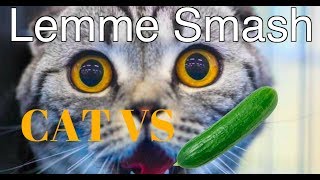 Lemme Smash - Cats vs Cucumber