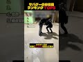 サバゲー珍場面ランキングTOP5 #airsoft #サバゲー