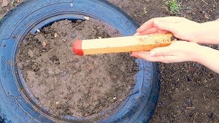 Закопайте Спичку в Саду и Смотрите что вырастет. Закопайте Спичку в Саду и Смотрите что вырастет.