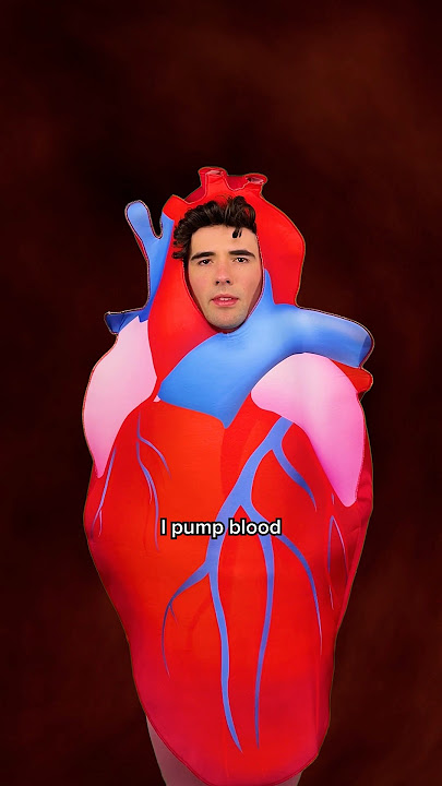 Follow your heart #comedy #shorts